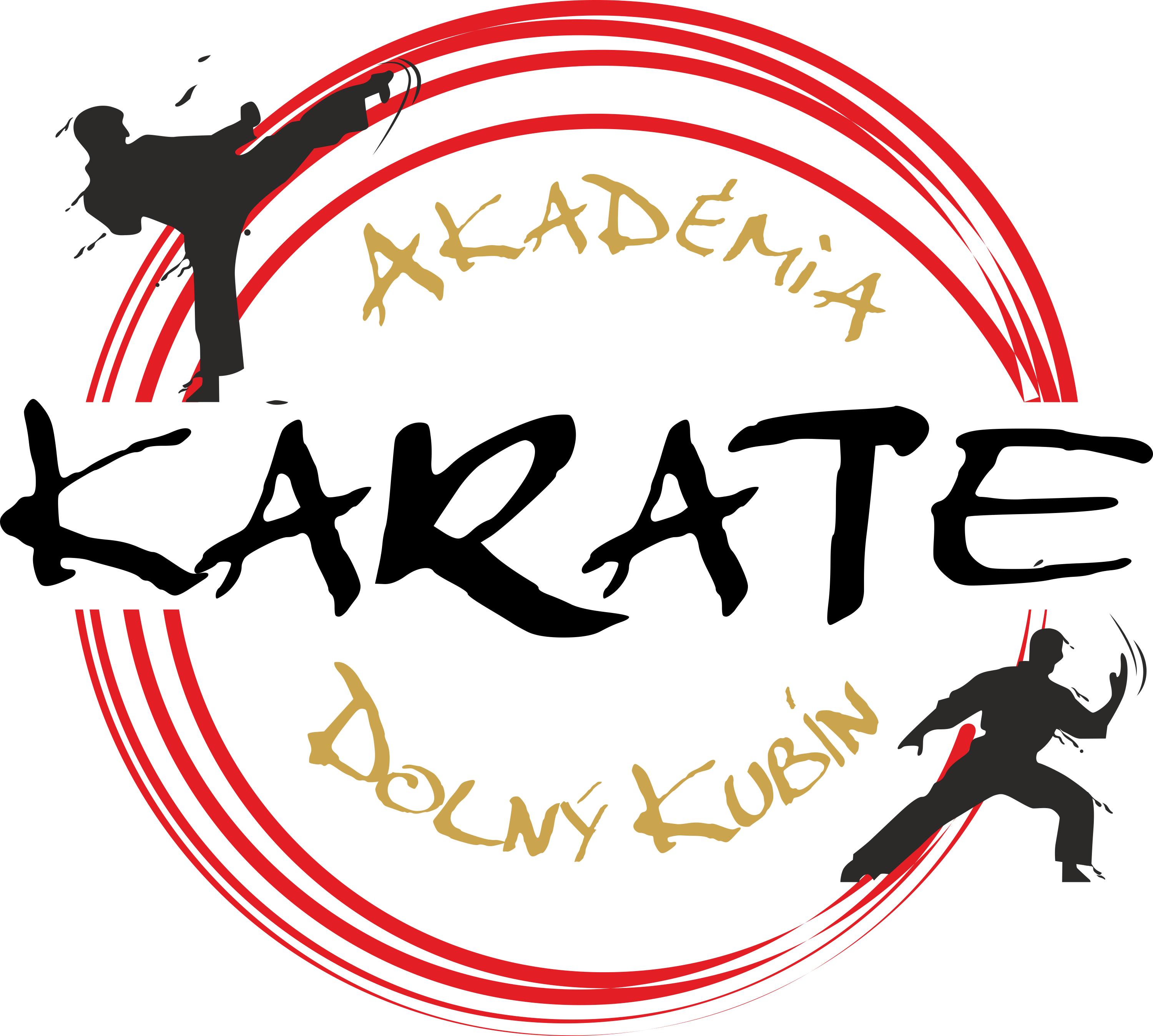 AKADÉMIA KARATE DOLNÝ KUBÍN, o. z.